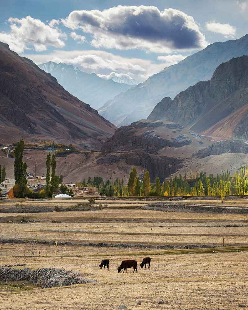 hunza7